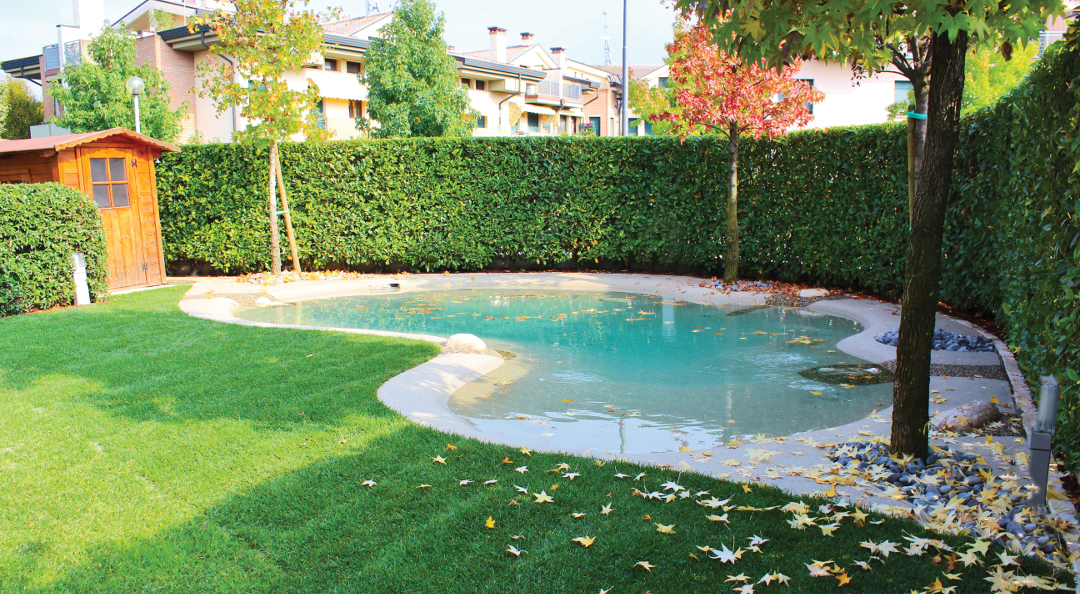 Credits: www.biodesignpools.com